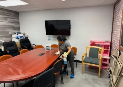 House Cleaning (10)